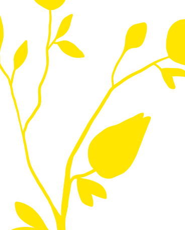 key-benefit.follow-steps.step-1.element.image.alt